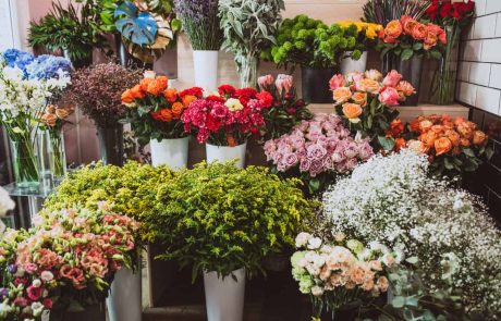יופי פורח: חקר חנות הפרחים המשובחת של רחובות