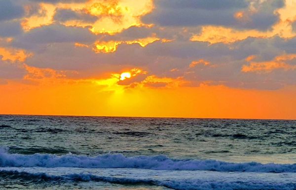 קורס צלילה חופשית באילת – חוויה שמשנה את הדרך בה אתם רואים את הים