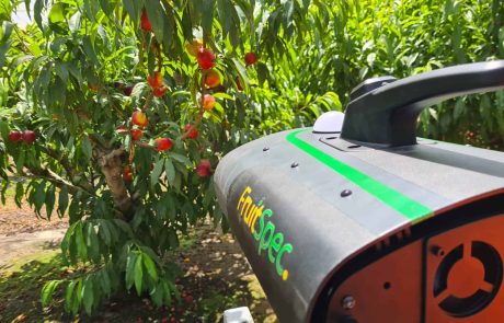 בינה מלאכותית בחקלאות הישראלית: "יכולים לחזות את תחזיות את היבול"