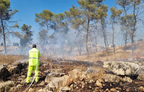 2022: קק"ל הצליחה לצמצם כמחצית מהשריפות ביערות ביחס לאשתקד