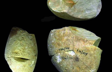 נמצאה העדות הקדומה ביותר לשימוש בכלי אבן לשחיקה